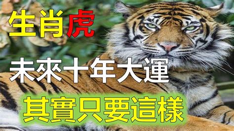 1974年屬虎運勢|1974年屬虎人必看！49歲運勢大揭秘！事業、財富、。